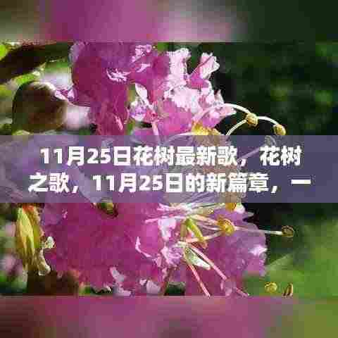11月25日花树之歌，新时代的印记