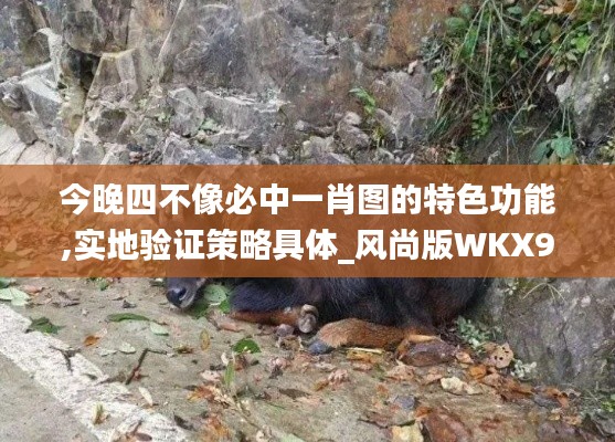 风流人物 第6页