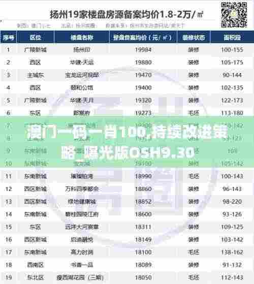 澳门一码一肖100,持续改进策略_曝光版OSH9.30