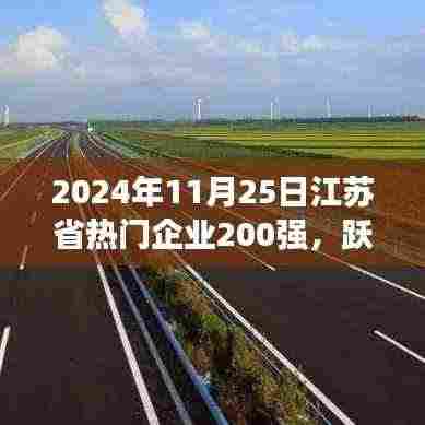 江苏省企业巅峰榜，励志故事与变化成就荣耀之路（2024年江苏省热门企业200强）
