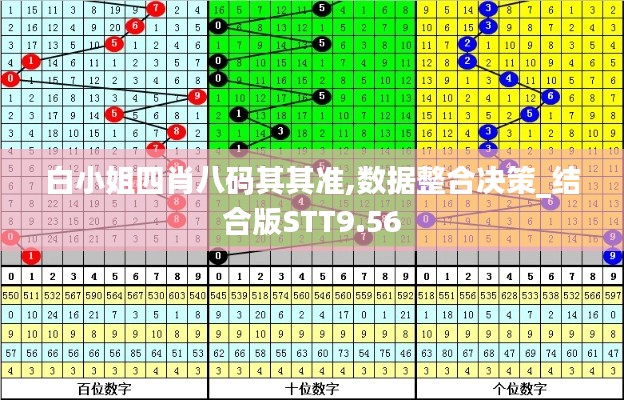 白小姐四肖八码其其准,数据整合决策_结合版STT9.56