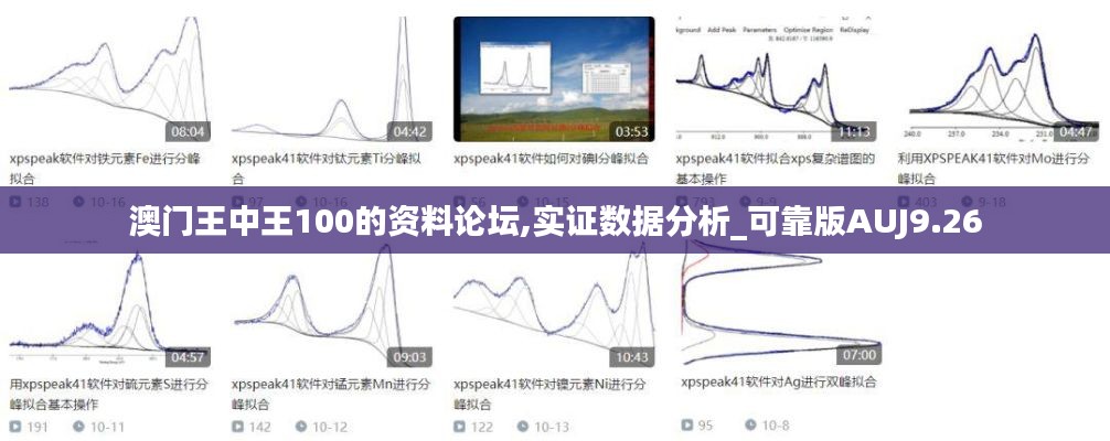 澳门王中王100的资料论坛,实证数据分析_可靠版AUJ9.26