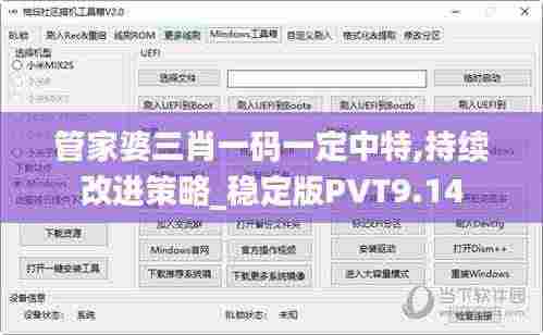 管家婆三肖一码一定中特,持续改进策略_稳定版PVT9.14