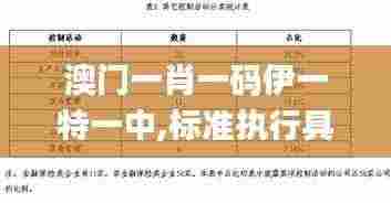澳门一肖一码伊一特一中,标准执行具体评价_程序版RSQ9.48