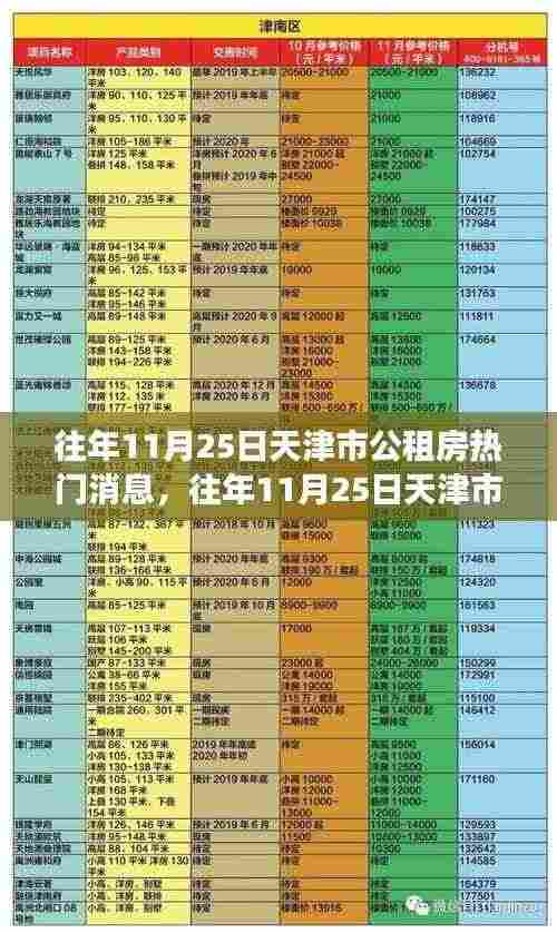 往年11月25日天津市公租房热门消息全面解析，特性、体验、竞争态势与目标用户分析