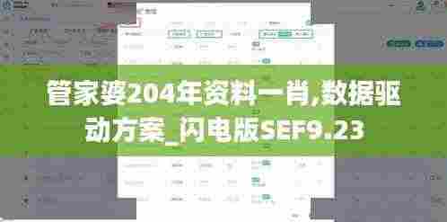 管家婆204年资料一肖,数据驱动方案_闪电版SEF9.23