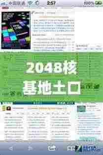 2048核基地土口,解答题全面分析_网络版VHN9.64