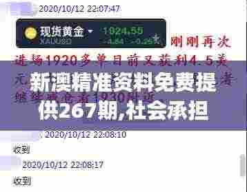 新澳精准资料免费提供267期,社会承担实践战略_冒险版TCT9.17