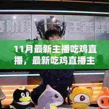 11月最新吃鸡直播主播之路，入门全攻略与进阶技巧