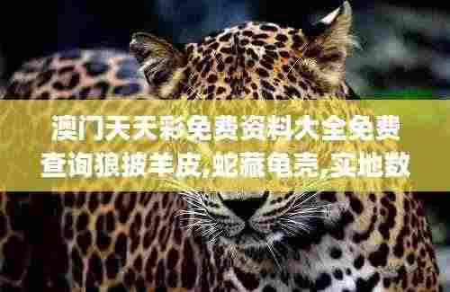 澳门天天彩免费资料大全免费查询狼披羊皮,蛇藏龟壳,实地数据验证_多功能版WEN9.78