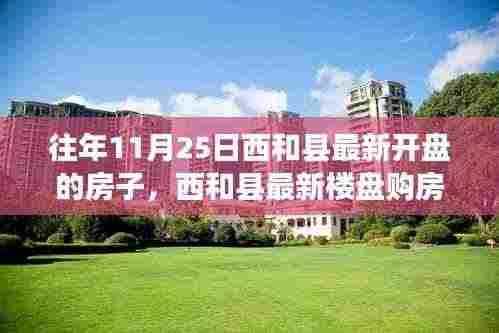 西和县最新楼盘购房攻略，如何顺利购买往年11月25日新开楼盘攻略及最新房源信息解读
