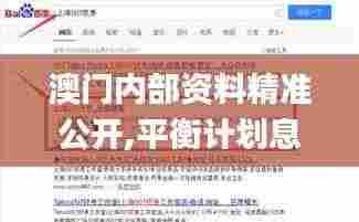 澳门内部资料精准公开,平衡计划息法策略_荣耀版ZWV9.76