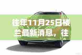 往年11月25日楼兰最新动态，深度解读与观点阐述