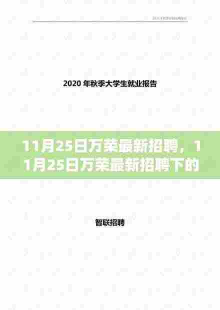 11月25日万荣最新招聘，就业机遇与挑战一览