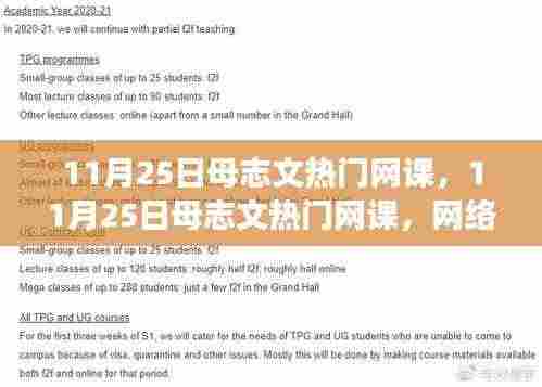母志文热门网课，网络教育的双刃剑效应探讨