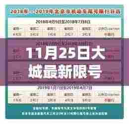 大城最新限号查询指南,初学者与进阶用户适用(11月25日更新)