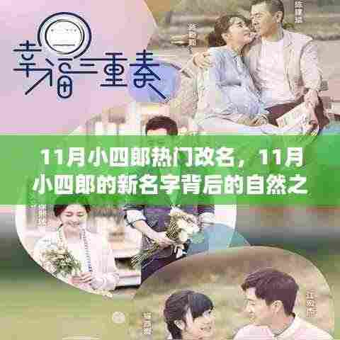 11月小四郎的新名字之旅，自然探索与心灵冒险的交融