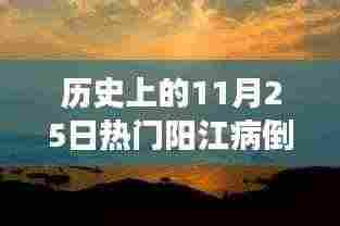 历史上的11月25日阳江病倒事件，深度探讨与启示
