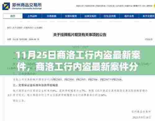 商洛工行内部盗窃案最新进展及分析，聚焦某某观点