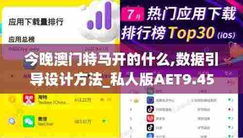 今晚澳门特马开的什么,数据引导设计方法_私人版AET9.45