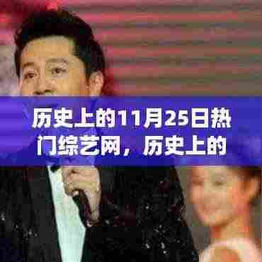 历史上的11月25日综艺网回顾，发展历程与重要时刻