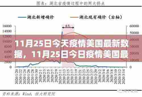 美国疫情最新数据报告，深度解析与案例分析（11月25日更新）