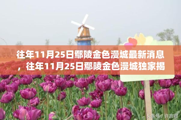 往年11月25日鄢陵金色漫城，独家消息与深度洞察