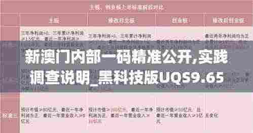 新澳门内部一码精准公开,实践调查说明_黑科技版UQS9.65