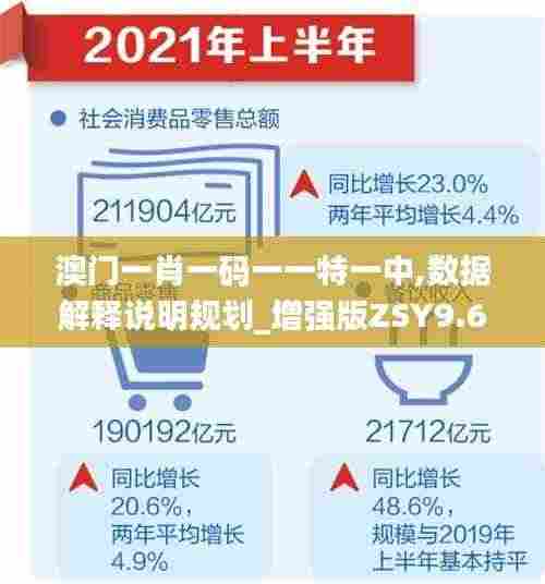 澳门一肖一码一一特一中,数据解释说明规划_增强版ZSY9.65