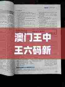 澳门王中王六码新澳门,策略优化计划_零售版PWG9.54