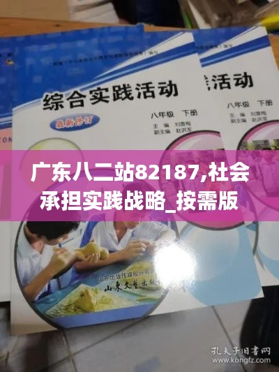 广东八二站82187,社会承担实践战略_按需版BYY9.14