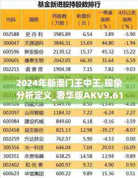 2024年新澳门王中王,现象分析定义_奢华版AKV9.61