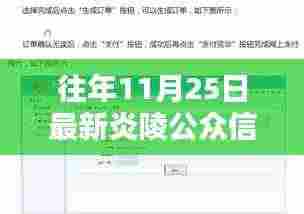 最新炎陵公众信息网使用指南，初学者与进阶用户适用，历年更新概览