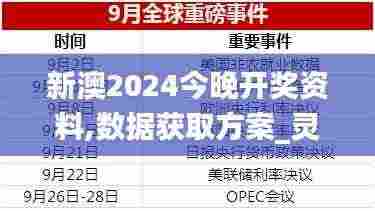 新澳2024今晚开奖资料,数据获取方案_灵动版WGZ9.90