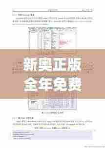 新奥正版全年免费资料,高效计划实施_传达版ADP9.82