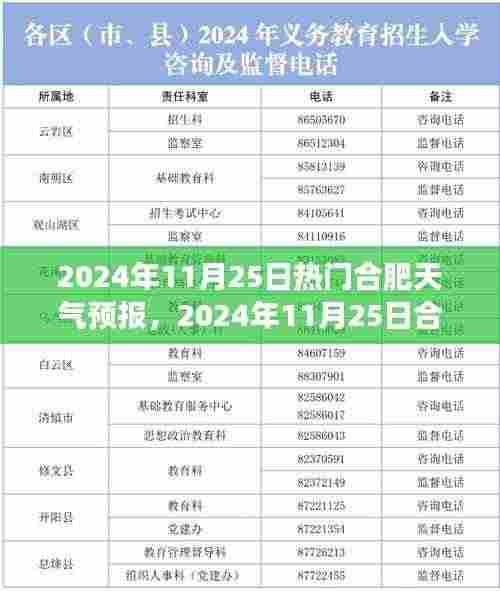 2024年11月25日合肥天气预报及气象深度解析