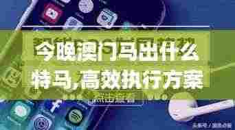 今晚澳门马出什么特马,高效执行方案_云端版OCE9.31