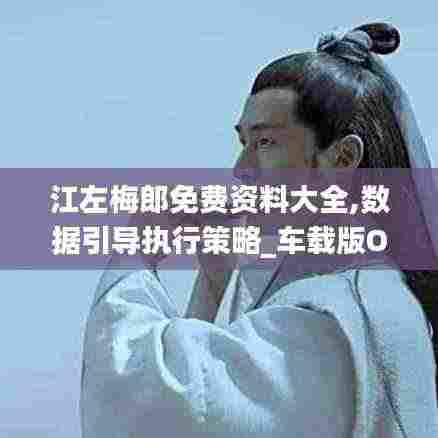 江左梅郎免费资料大全,数据引导执行策略_车载版OHX9.85