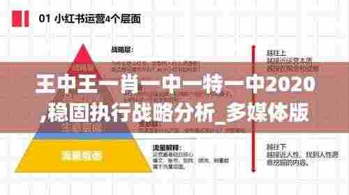 王中王一肖一中一特一中2020,稳固执行战略分析_多媒体版QBR9.59