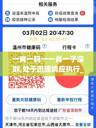 一肖一码一一肖一子深圳,处于迅速响应执行_旅行版APB9.29