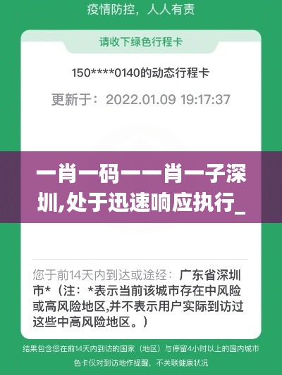 一肖一码一一肖一子深圳,处于迅速响应执行_旅行版APB9.29