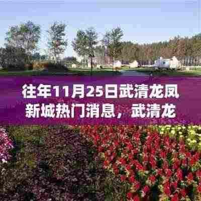 武清龙凤新城探秘,自然之旅与心灵宁静的追寻