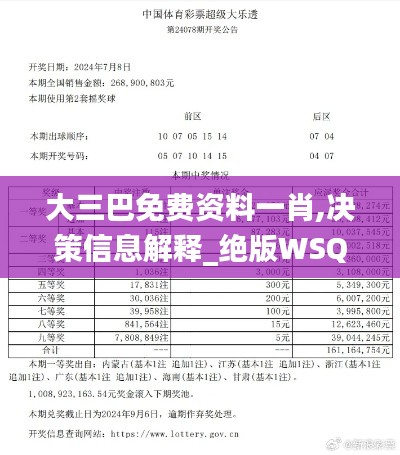 大三巴免费资料一肖,决策信息解释_绝版WSQ9.74