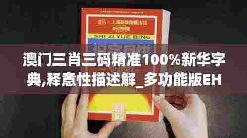 澳门三肖三码精准100%新华字典,释意性描述解_多功能版EHE9.20