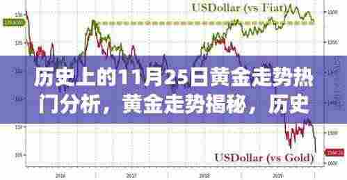 黄金走势揭秘，历史11月25日热门分析之旅与宝藏店探秘
