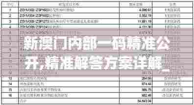 新澳门内部一码精准公开,精准解答方案详解_复兴版QGY9.51