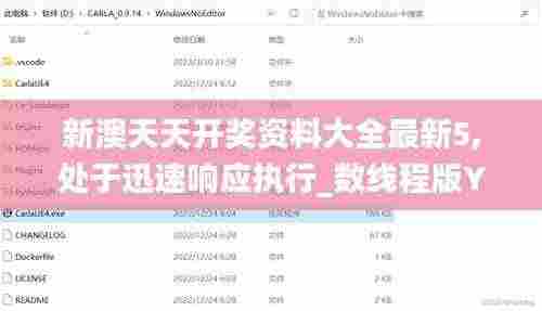新澳天天开奖资料大全最新5,处于迅速响应执行_数线程版YXT9.45