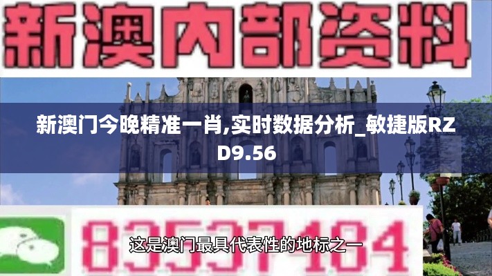 新澳门今晚精准一肖,实时数据分析_敏捷版RZD9.56