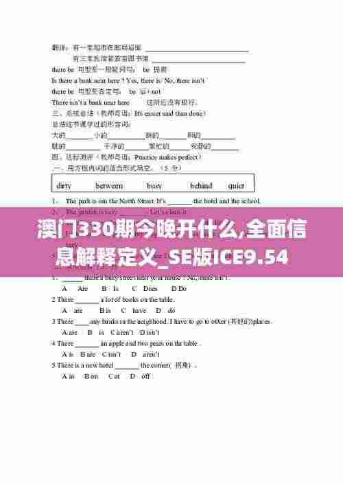 澳门330期今晚开什么,全面信息解释定义_SE版ICE9.54