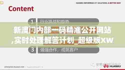 新澳门内部一码精准公开网站,实时处理解答计划_超级版XWH9.55